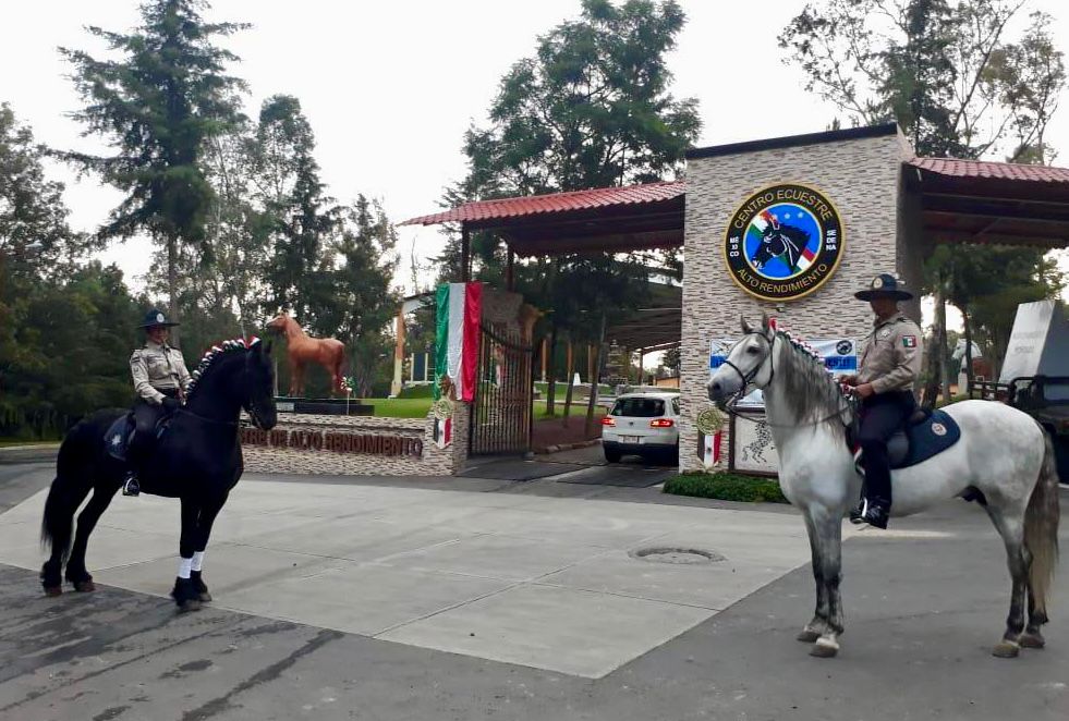 Rutas a caballo